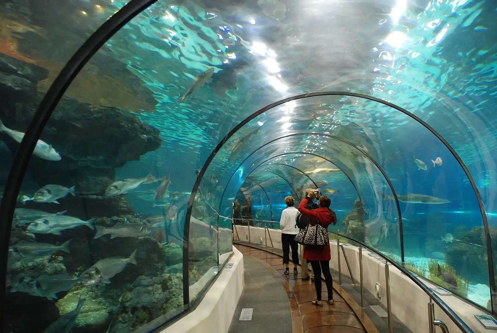 Aquarium img
